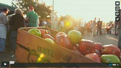 Batlow CiderFest, Content